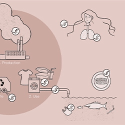 Afbeelding voor categorie Microplastic vervuiling